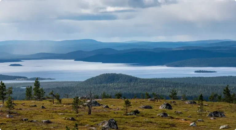 Vidsträckt fjällandskap med sjö och skogklädda berg